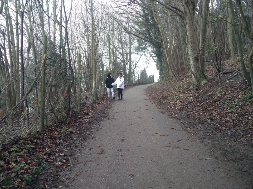 New year day walk